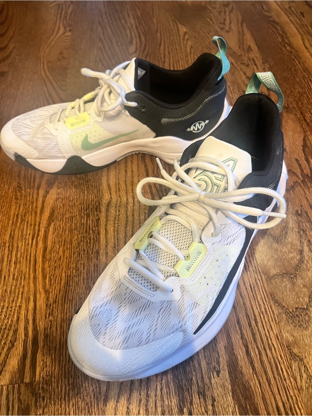 Men’s Nike Giannis Immortality 2